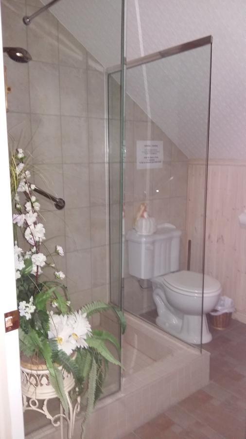 Gite Agricole Les Lilas Saint Wenceslas Екстериор снимка