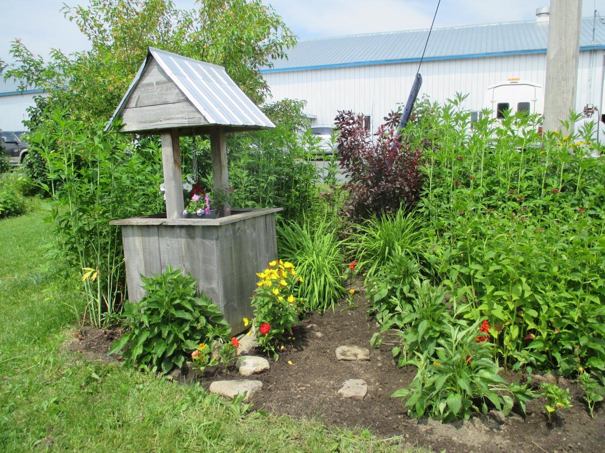 Gite Agricole Les Lilas Saint Wenceslas Екстериор снимка